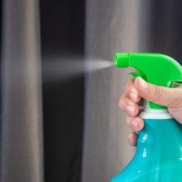 “Nossas casas estão limpas demais e deviam ter uma camada de germes”, diz pesquisadora