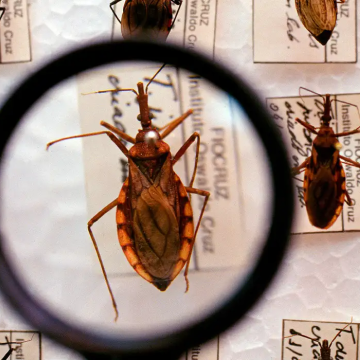 doença de chagas