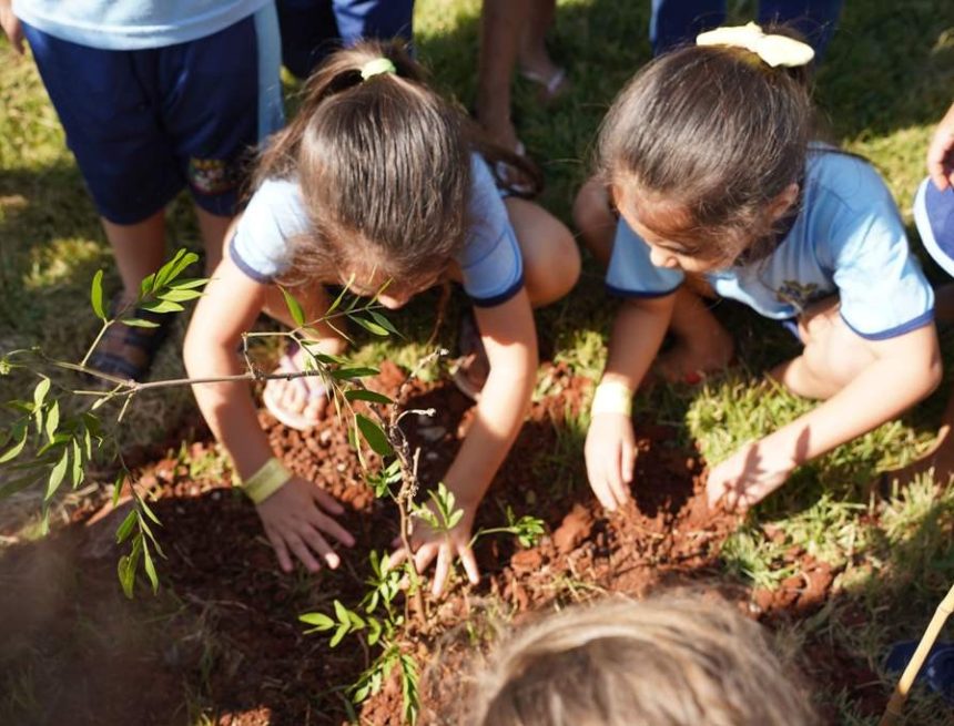 Parque-Ecologico-de-Sarandi