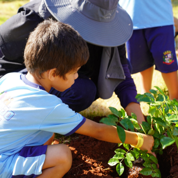 ‘Escola Amiga do Meio Ambiente’: Sarandi incentiva educação ambiental com lançamento de selo