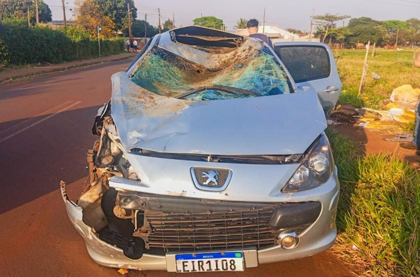 Grave acidente: Cavalo morre após ser atingido por carro; duas pessoas ficam feridas